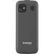 Мобільний телефон Sigma mobile X-style 242 LUCKY Grey