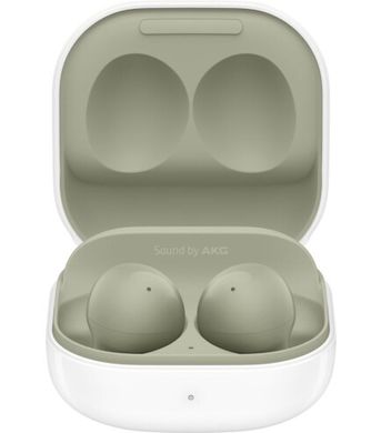 Наушники TWS Samsung Galaxy Buds2 Olive (SM-R177NZGA)