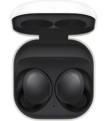 Наушники TWS Samsung Galaxy Buds2 Graphite (SM-R177NZKA)